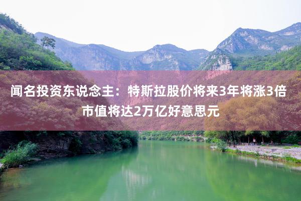 闻名投资东说念主：特斯拉股价将来3年将涨3倍 市值将达2万亿好意思元