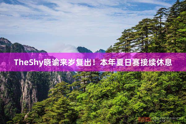 TheShy晓谕来岁复出！本年夏日赛接续休息