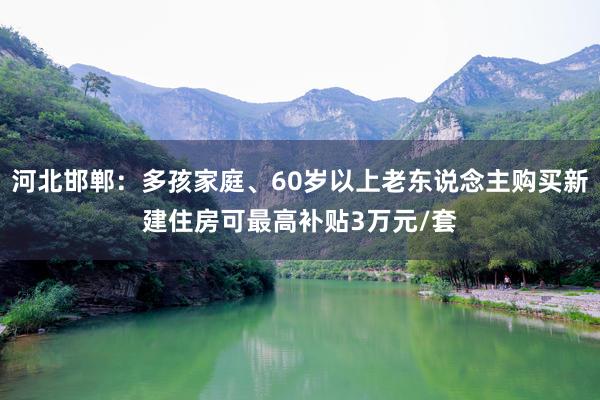 河北邯郸：多孩家庭、60岁以上老东说念主购买新建住房可最高补贴3万元/套