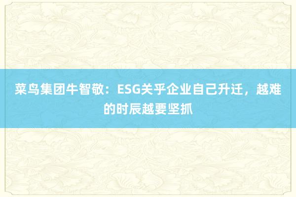 菜鸟集团牛智敬：ESG关乎企业自己升迁，越难的时辰越要坚抓