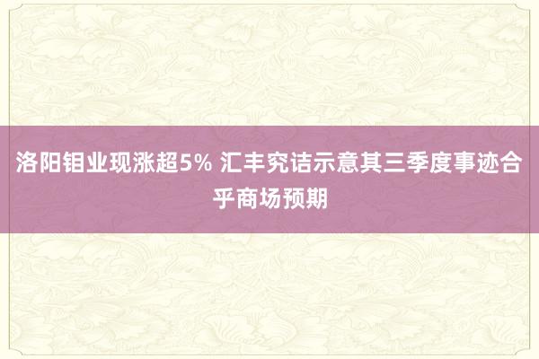 洛阳钼业现涨超5% 汇丰究诘示意其三季度事迹合乎商场预期