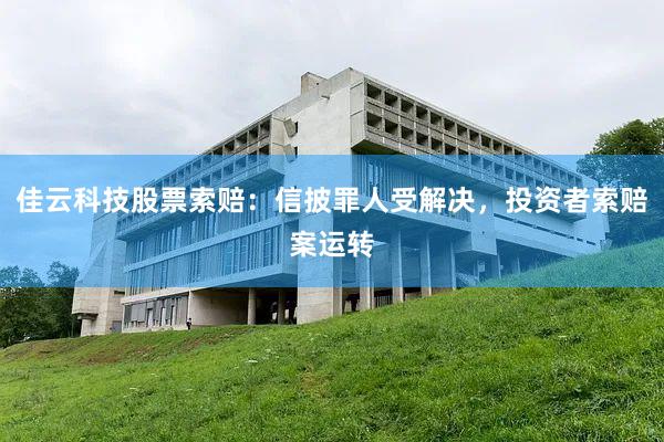 佳云科技股票索赔：信披罪人受解决，投资者索赔案运转